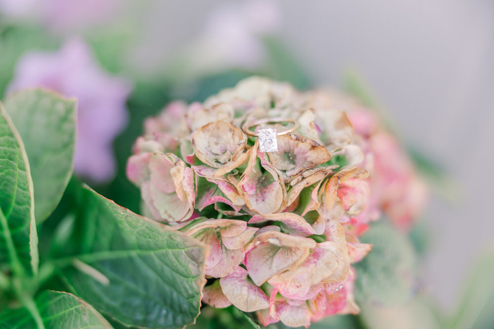 Ring taken on flower at 7th Canyon Ranch 