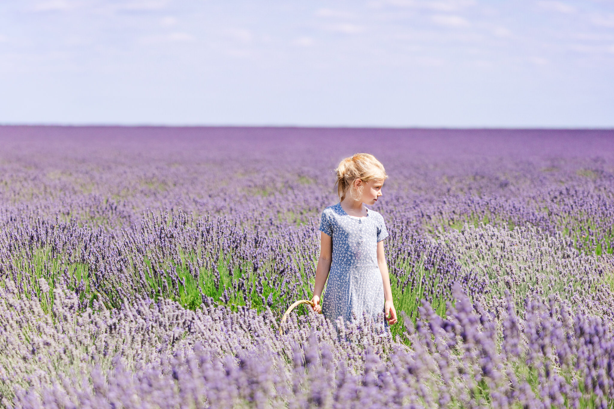 Oregon lavender farms girl standing in lavender