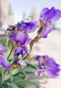 Carry on With Style flowers 