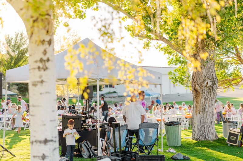 dj at wedding
